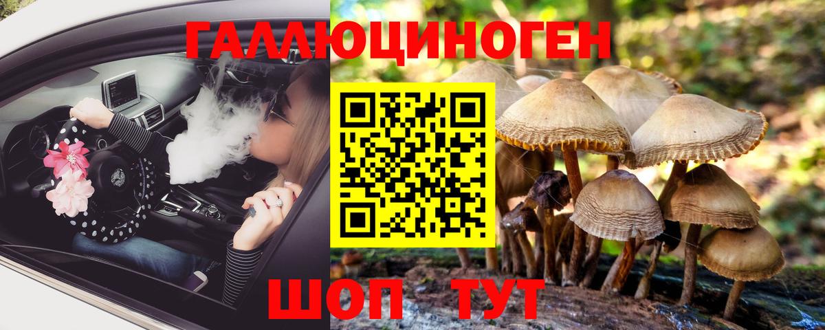 Псилоцибиновые грибы мицелий Миллерово