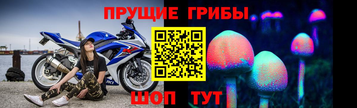 Миллерово  Псилоцибиновые грибы Magic Shrooms  Вход с VPN  Псилоцибиновые грибы Psilocybine cubensis 